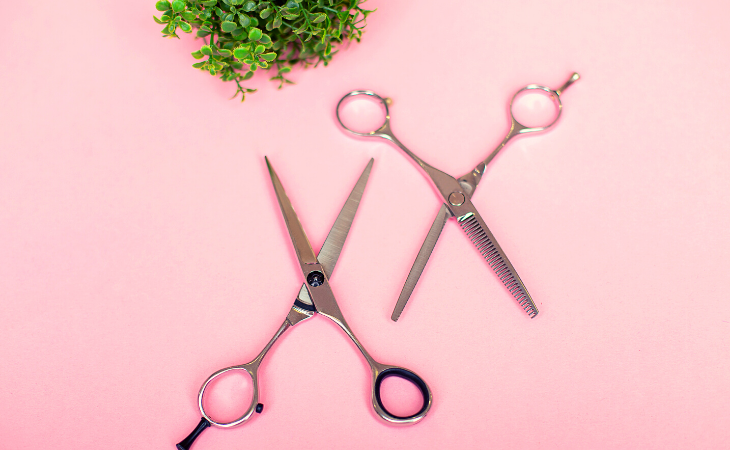 Top 10 Hairdressing Scissors